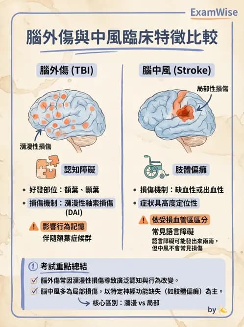 物治 - 腦血管疾病與腦外傷 - AI 圖文解析預覽