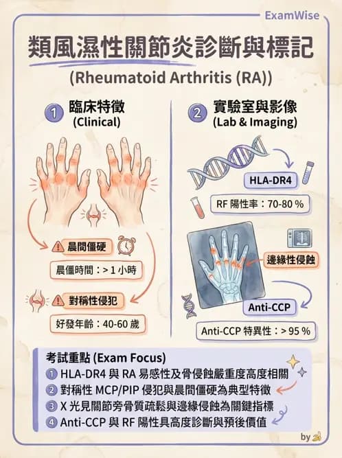 物治 - 內科疾病概論 - AI 圖文解析預覽