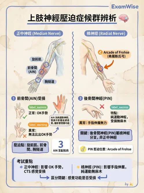 物治 - 骨科與外科疾病 - AI 圖文解析預覽