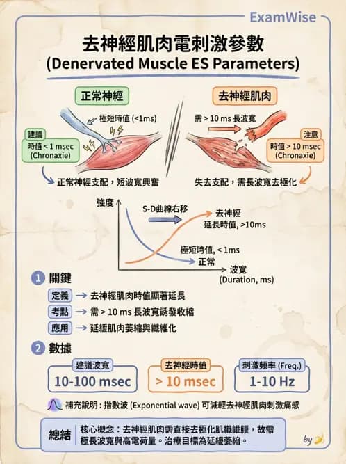 物治 - 神經肌肉電刺激 - AI 圖文解析預覽
