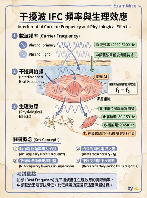 物治 - 中頻干擾波 - AI 圖文解析預覽