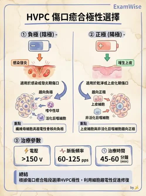 物治 - 高壓間歇直流電 - AI 圖文解析預覽
