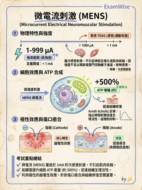物治 - 物理因子特殊應用 - AI 圖文解析預覽