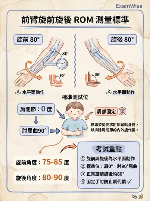 物治 - 上肢關節活動度 - AI 圖文解析預覽