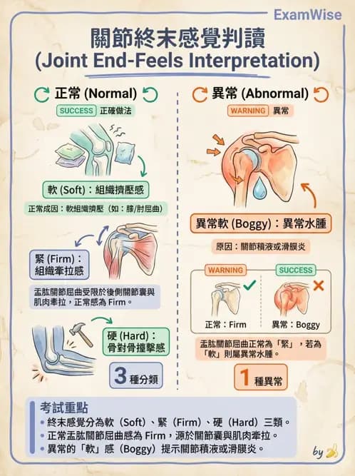 物治 - ROM通則與關節運動 - AI 圖文解析預覽