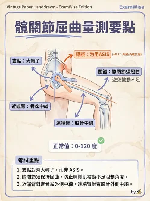 物治 - 下肢與脊椎關節活動度 - AI 圖文解析預覽