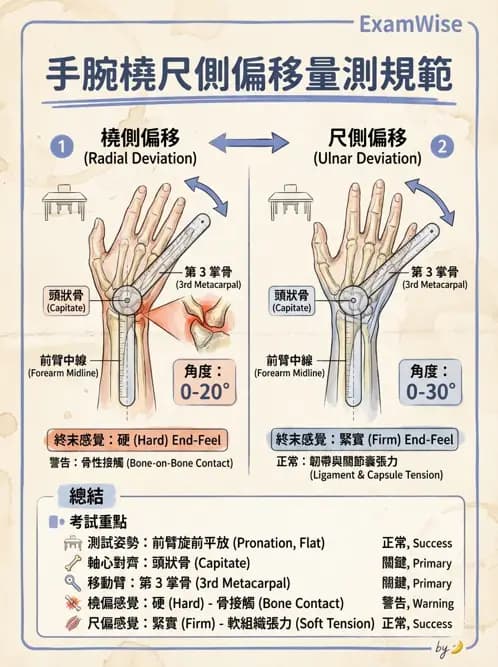 物治 - 上肢關節活動度 - AI 圖文解析預覽