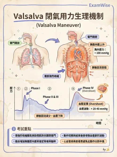 物治 - 肌耐力與神經肌肉適應 - AI 圖文解析預覽