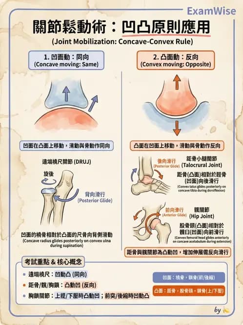 物治 - 鬆動術基礎概念與原則 - AI 圖文解析預覽