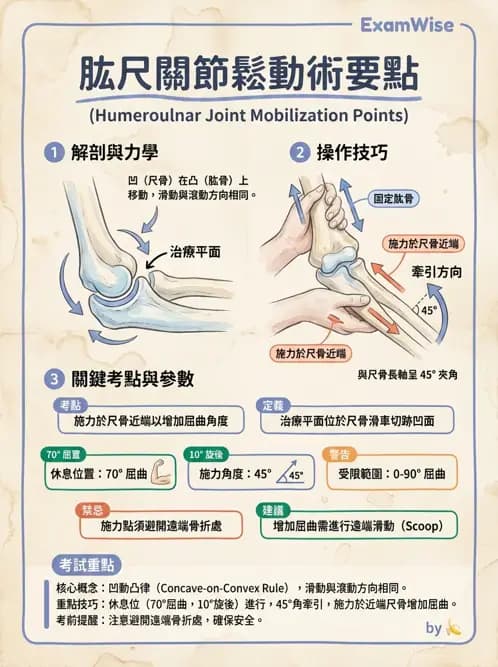 物治 - 鬆動術臨床應用 - AI 圖文解析預覽