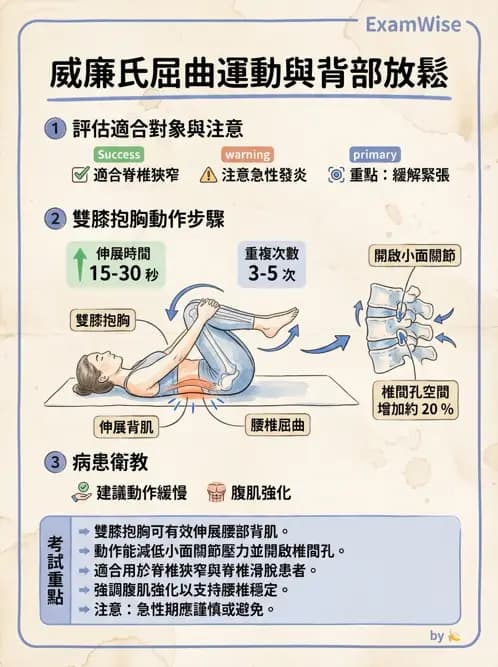 物治 - 脊椎鬆動術 - AI 圖文解析預覽
