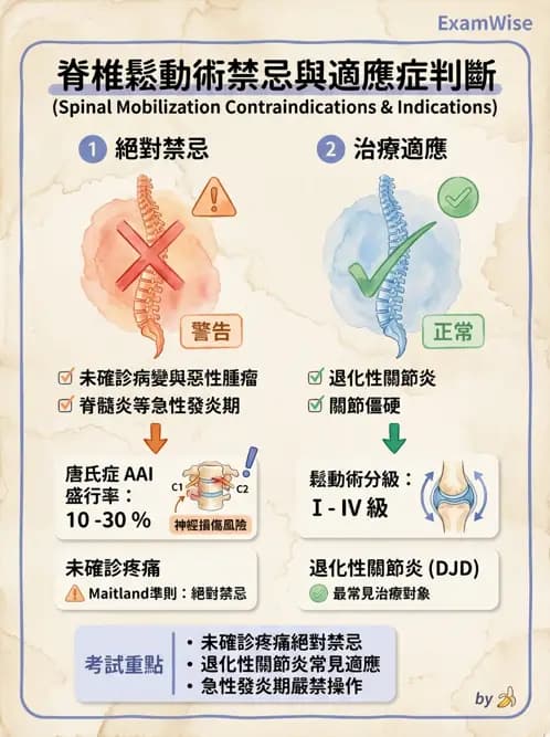 物治 - 脊椎鬆動術 - AI 圖文解析預覽
