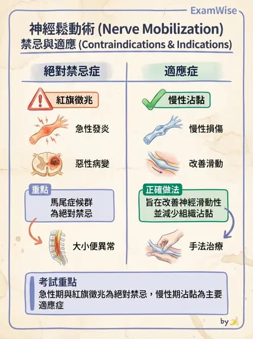 物治 - 神經鬆動術 - AI 圖文解析預覽