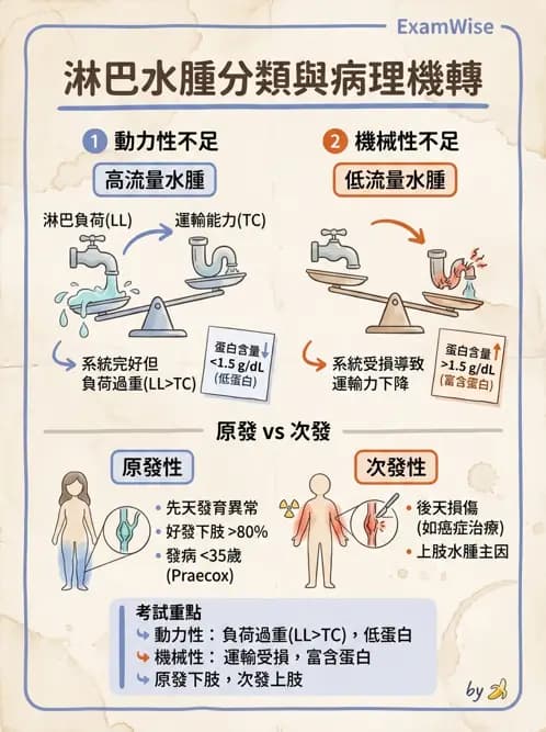 物治 - 淋巴水腫與徒手淋巴引流 - AI 圖文解析預覽