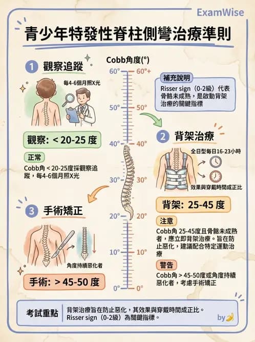 物治 - 裝具與矯具 - AI 圖文解析預覽