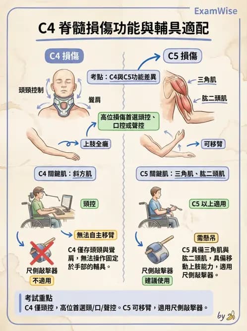 物治 - 無障礙環境與科技輔具 - AI 圖文解析預覽