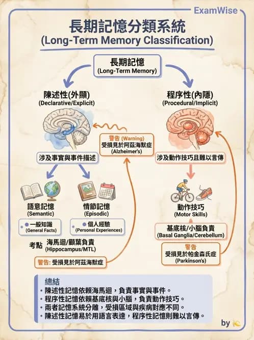 物治 - 動作學習 - AI 圖文解析預覽