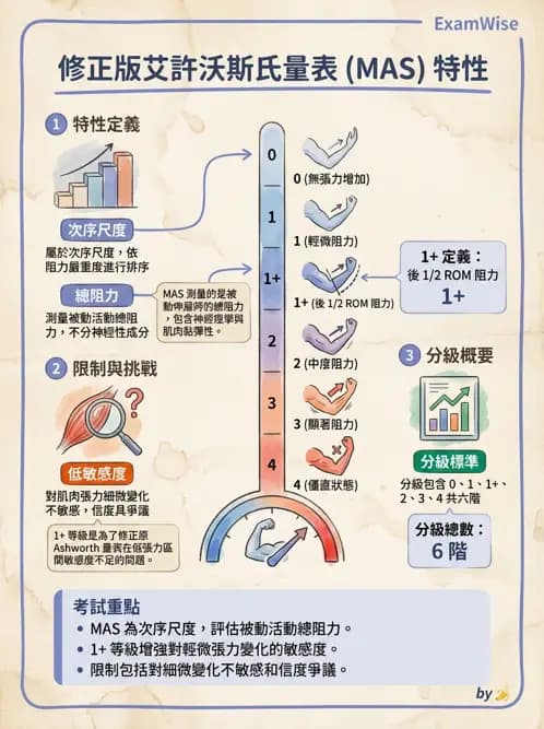 物治 - 神經物理治療評估工具 - AI 圖文解析預覽