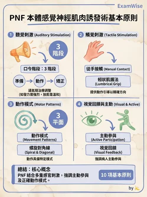 物治 - 神經治療學派技術 - AI 圖文解析預覽