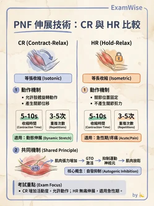 物治 - 神經治療學派技術 - AI 圖文解析預覽