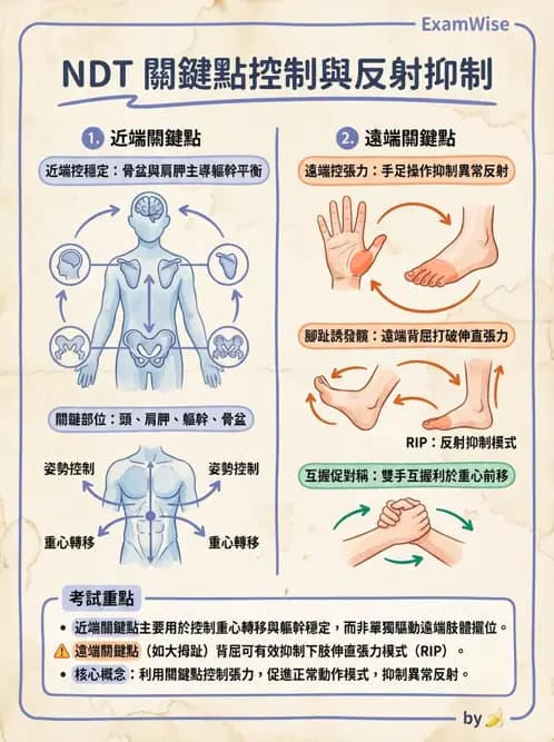 物治 - 神經治療學派技術 - AI 圖文解析預覽