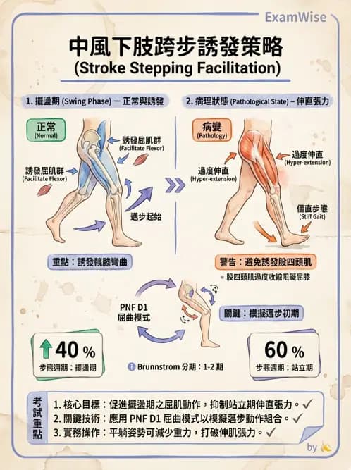 物治 - 腦中風步態分析與行走訓練 - AI 圖文解析預覽