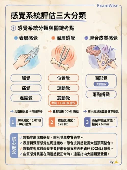 物治 - 腦中風感覺知覺與認知 - AI 圖文解析預覽