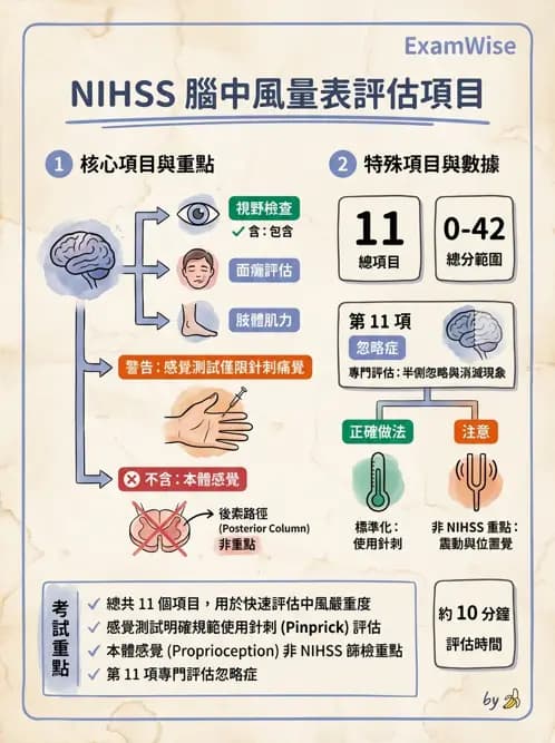 物治 - 腦中風動作評估與分期 - AI 圖文解析預覽