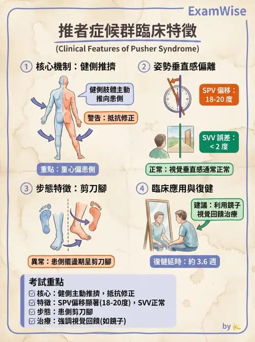 物治 - 腦中風姿勢控制平衡與轉位 - AI 圖文解析預覽