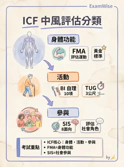 物治 - ICF分類與應用 - AI 圖文解析預覽