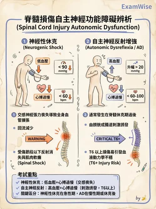 物治 - SCI併發症與呼吸管理 - AI 圖文解析預覽
