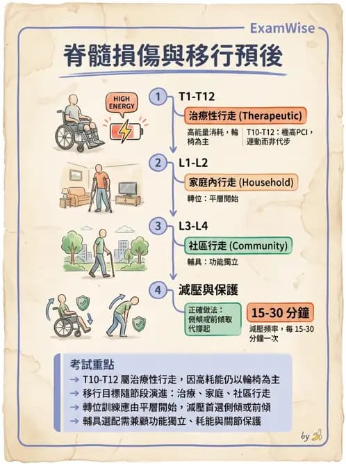 物治 - SCI功能預後與復健訓練 - AI 圖文解析預覽