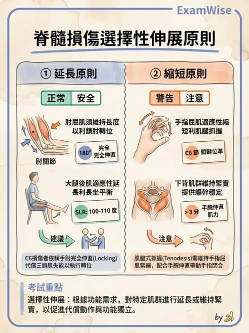 物治 - SCI功能預後與復健訓練 - AI 圖文解析預覽