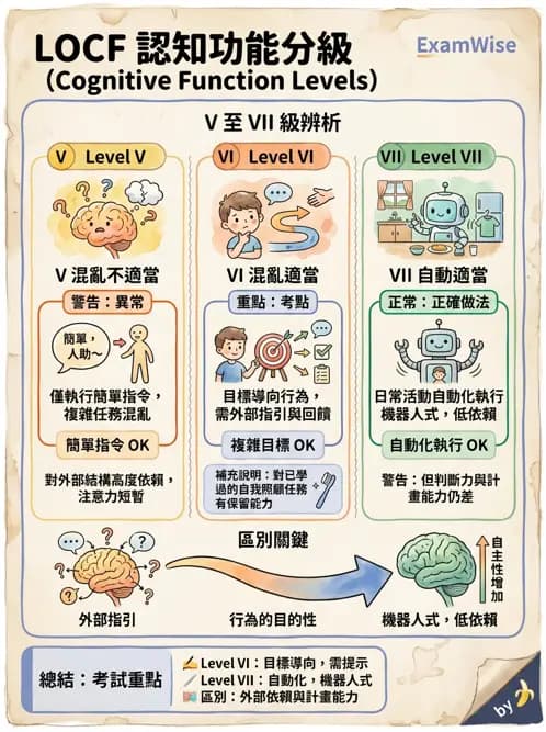 物治 - TBI LOCF分級與復健 - AI 圖文解析預覽