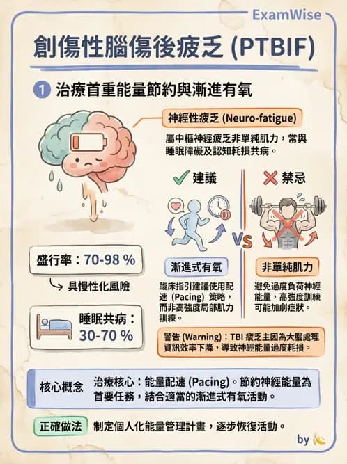 物治 - TBI LOCF分級與復健 - AI 圖文解析預覽