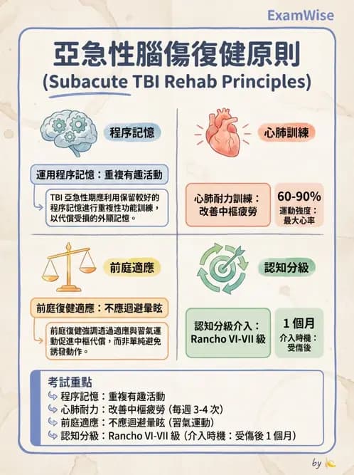 物治 - TBI LOCF分級與復健 - AI 圖文解析預覽