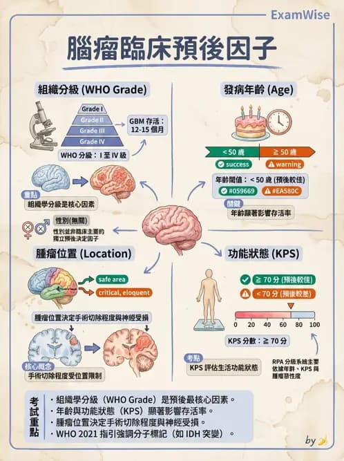 物治 - 運動神經元疾病與其他中樞疾病 - AI 圖文解析預覽