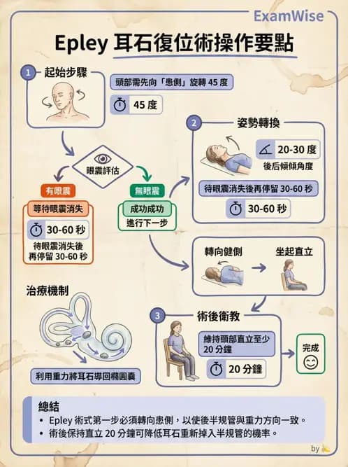 物治 - 前庭系統與前庭復健 - AI 圖文解析預覽