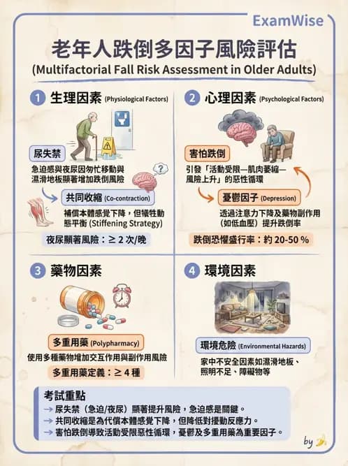 物治 - 跌倒預防與平衡訓練 - AI 圖文解析預覽
