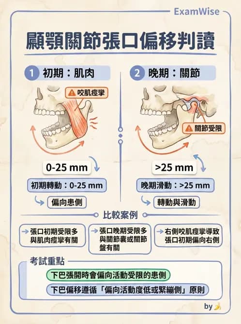 物治 - 顳頷關節 - AI 圖文解析預覽