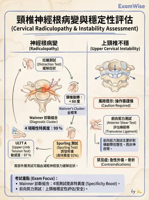 物治 - 頸椎評估與病理 - AI 圖文解析預覽