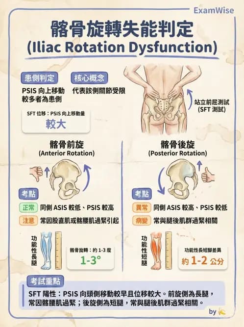 物治 - 薦髂關節評估與治療 - AI 圖文解析預覽