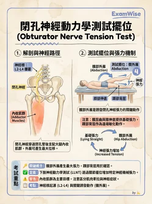 物治 - 腰椎椎間盤與脊椎狹窄 - AI 圖文解析預覽