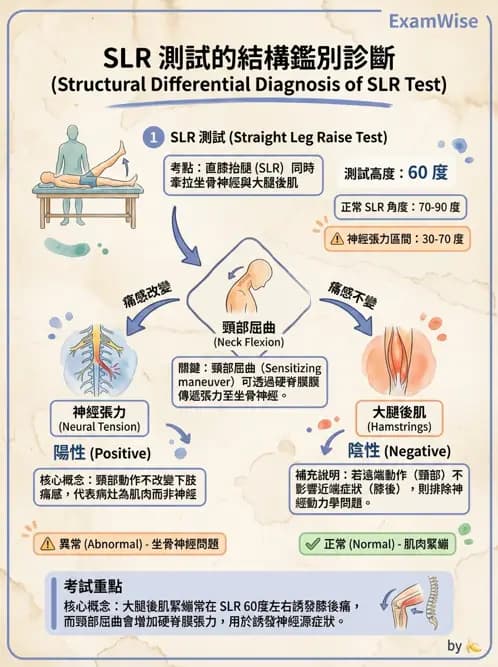 物治 - 腰椎椎間盤與脊椎狹窄 - AI 圖文解析預覽