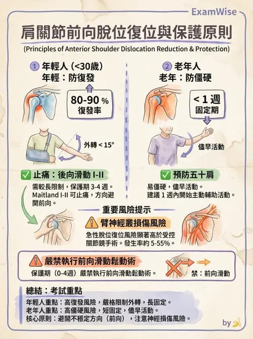 物治 - 肩關節不穩定與盂唇損傷 - AI 圖文解析預覽