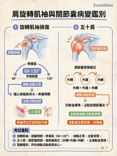 物治 - 肩關節夾擠與旋轉肌袖 - AI 圖文解析預覽