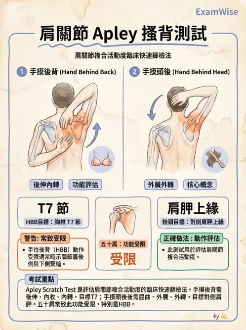 物治 - 冰凍肩與胸廓出口症候群 - AI 圖文解析預覽