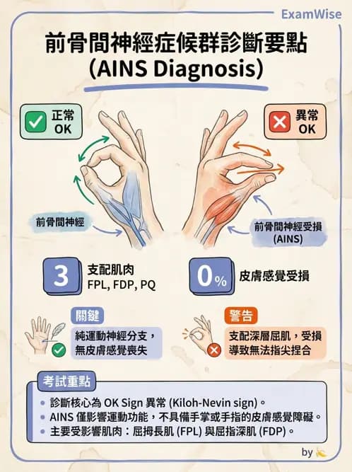 物治 - 肘及前臂關節 - AI 圖文解析預覽