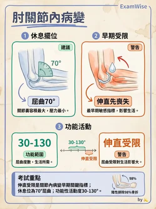 物治 - 肘及前臂關節 - AI 圖文解析預覽