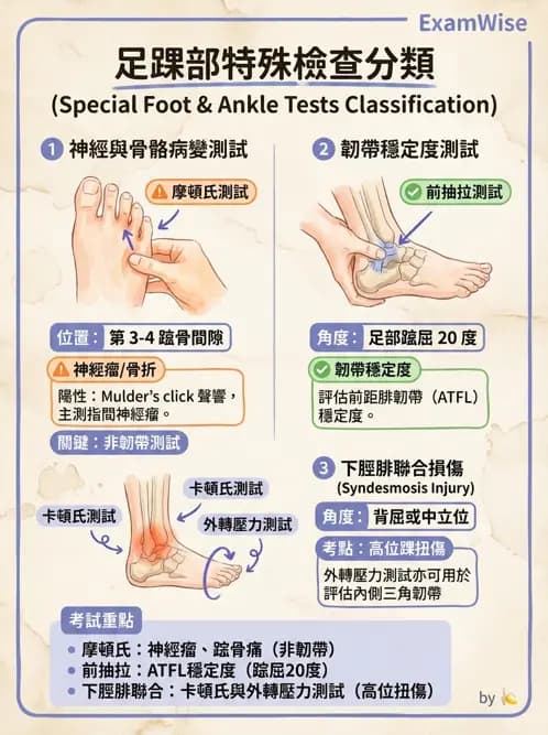 物治 - 踝關節損傷與復健 - AI 圖文解析預覽